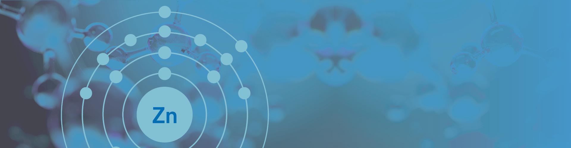 zinc banner COM Zinc