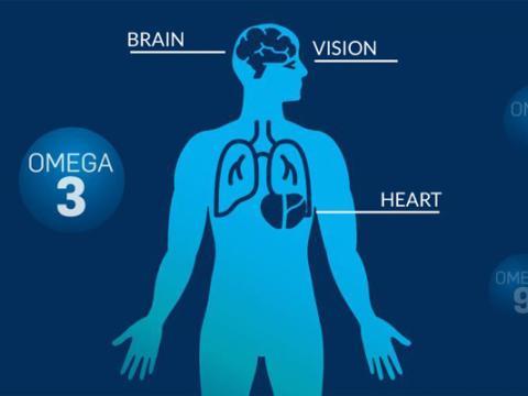 Omega 3 Pileje Micronutrition En