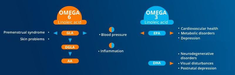 The specific role of DHA and EPA type omega 3 fatty acids