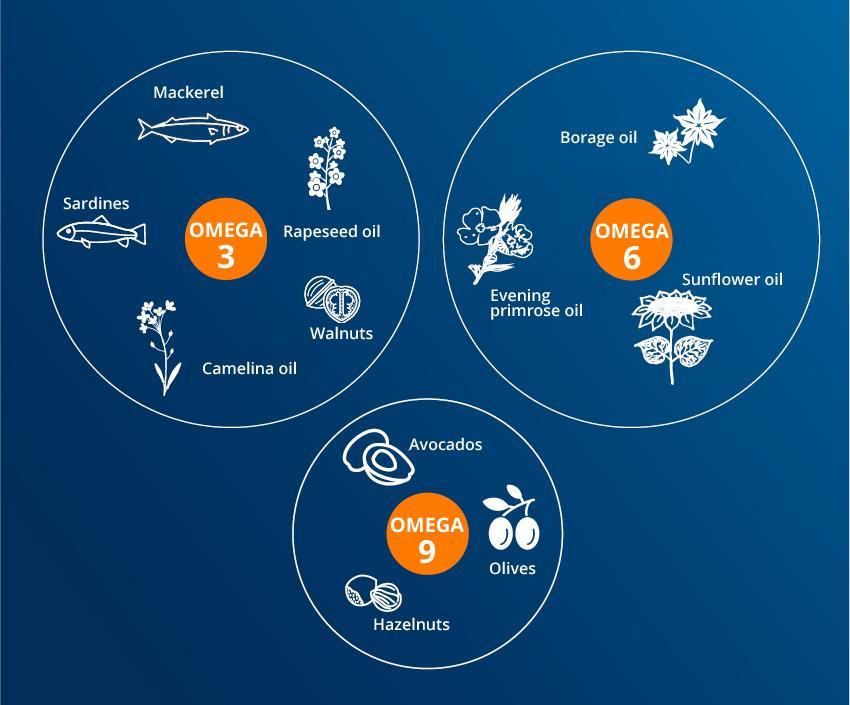 Omega 3 6 and 9 essential fatty acids PiLeJe