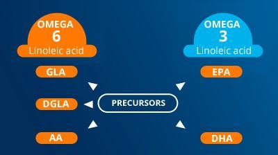 Omega 3 6 and 9 essential fatty acids PiLeJe